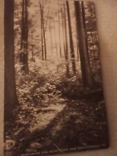 Harrisburg Girl Scout Camp Pine Grove Furnace Pa. Postcard picture