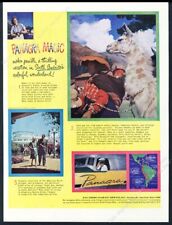 1947 llama South America photo Pan Am Panagra airlines vintage print ad picture