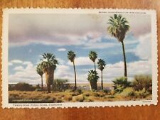 Twenty-Nine Palms Oasis California CA Unposted Linen Vintage Postcard picture