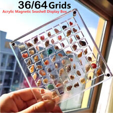Acrylic Magnetic Seashell Display Box, 36/64 Grids Seashell Display Box US picture