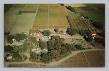Postcard Charles Krug Winery Vineyards Napa Valley St. Helena California picture