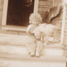 3P Photograph Portrait Girl And Pet Dog Porch Steps 1930-40's picture