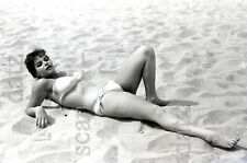 1950s Vogel Negative-busty pinup girl Sandy Lane in bikini-cheesecake v304068 picture