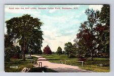 Rochester NY-New York Road Near Golf Links, Genesee Valley Park Vintage Postcard picture