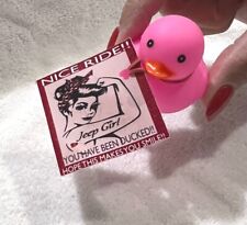 PINK RUBBER DUCKS WITH TAGS picture