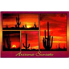 Postcard Arizona Sunset Giant Saguaros Cacti Majestic Symbol of Great Southwest picture