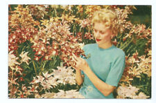 Kennett Square Pennsylvania PA Postcard Longwood Gardens Lady Flowers picture