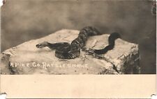 PIKE COUNTY PENNSYLVANIA RATTLESNAKE c1910 real photo postcard rppc pa snake picture