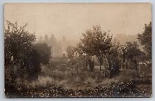 Picking Apples Orchard Indian River Michigan MI 1907 Real Photo RPPC picture