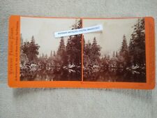 1870s SV of The SENTINEL Rock Trees & River at YOSEMITE VALLEY CA Watkins 1013 picture