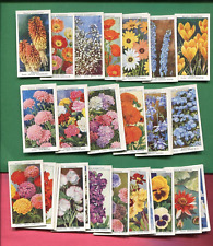 1939 W.D. & H.O. WILL'S CIGARETTES GARDEN FLOWERS 50 TOBACCO CARD SET picture