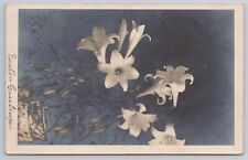 Easter Lilies Flowers Art 1907 Real Photo Postcard RPPC Lily picture