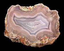 Amazing LARGE Banded Laguna Agate From Mexico Collectors Grade picture