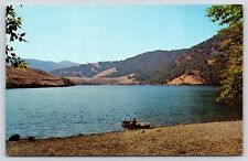 Idaho Williams Lake Vintage Postcard picture