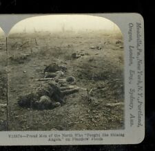 Antique WWI Stereoview Card 3D Proud Men of the North 