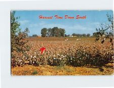 Postcard Harvest Time Down South picture