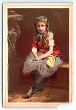 c1880 THE BEE HIVE STORE PHILADELPHIA PA  AD VICTORIAN TRADE CARD P1720 picture