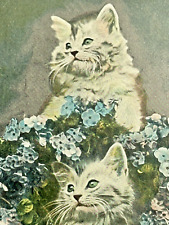 Tucks Cat Postcard Animal Studies Good Luck To You Forget Me Not Flowers picture