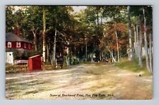 Paw Paw Lake MI-Michigan, Scene At Beechwood Point, Antique, Vintage Postcard picture