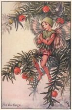 Yew Fairy by Cicely Mary Barker. Autumn Flower Fairies c1935 old vintage print picture