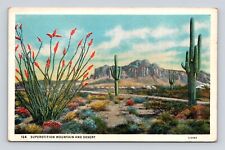 Postcard New Mexico Superstition Mountain Desert Ocotillo Fire Blossom/Cactus picture