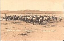 RPPC Glendive Montana Ranching Scene Rounding up Mares on OU Ranch 1912 picture