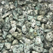 1000g Natural Tumbled Dalmatian Jasper Bulk Crystal Stone Reiki Chips Healing picture