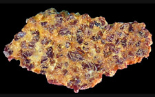 NWA 011 Meteorite ~ Achondrite-Ungrouped ~ Rare & Scientifically Important picture