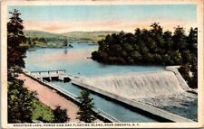Postcard. Goodyear Lake Power Dam and Floating Island Near Oneonta, New York. AX picture
