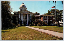 Vintage Postcard FL Dade City Court House Chrome ~8097 picture