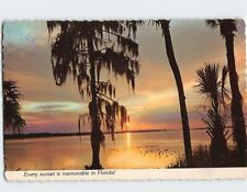 Postcard Every sunset is Memorial in Florida, Florida picture