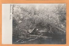 Marshall Michigan 1908 Real Photo Postcard picture