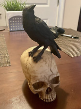 RAVEN PERCHING ON SKULL GOTHIC HALLOWEEN HOME DECOR STATUE picture