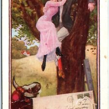 c1910s Man in Tree Saves Woman from Bull Horns Letter Embossed Rare Postcard A90 picture