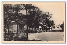 c1950's Big Meadow's Lodge Shenandoah National Park Skyline Drive VA Postcard picture