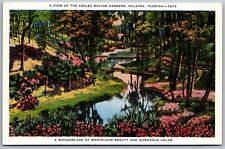 Vtg Palatka Florida FL View of Azalea Ravine Gardens 1940s Linen Postcard picture