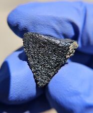 Meteorite**Hassi Messauod 001, Nakhlite Martian**4.088 grams, W/Fusion Crust picture