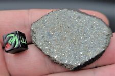 EL HASSAN OULD HAMED 002- 20.84 gram Meteorite Full polished Slice w/ crust line picture