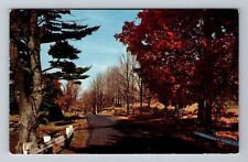 Road Traveling Through Autumn Foliage Vintage Souvenir Postcard picture
