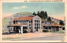 Linen Postcard Haynes Picture Shop at Mammoth, Yellowstone Park, Wyoming picture