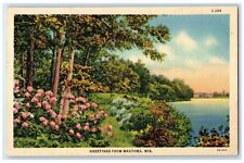 c1940 Greetings From Trees River Lake Flower Wautoma Wisconsin Vintage Postcard picture