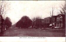 Angelica, NY, Main St. Looking West, Real Photo Postcard, 1909 #1055 picture