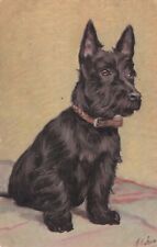 Artist Signed  Seated Scottish Terrier Scottie Dog Vintage Postcard picture