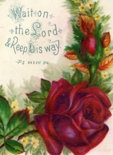 1880s-90s Victorian Religious Trade Card Bible Quote Red Rose Fab #7C picture