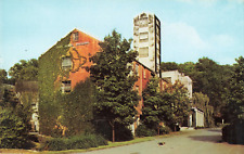 Lynchburg TN Tennessee, Jack Daniel's Distillery Hollow, Vintage Postcard picture