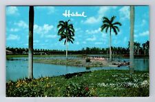 Miami FL-Florida, Flamingo Island At South End Of Infield Lake Vintage Postcard picture