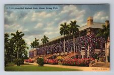Miami FL-Florida, Hialeah Park, Miami Jockey Club, Antique, Vintage Postcard picture
