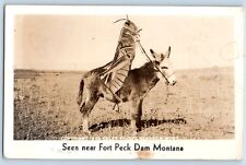 Fort Peck Dam Montana MT Postcard RPPC Photo Grasshopper Riding Mule c1940's picture
