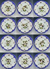 🦋 MINT HEREND ENTIRE SET of 12 Rothschild Bird Blue Border 1524 Dinner Plates picture