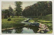 Vintage Postcard, Picnic Grounds, Silver Creek, Manitowoc, Wisconsin Posted 1913 picture